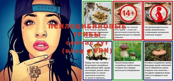apvp Апатиты