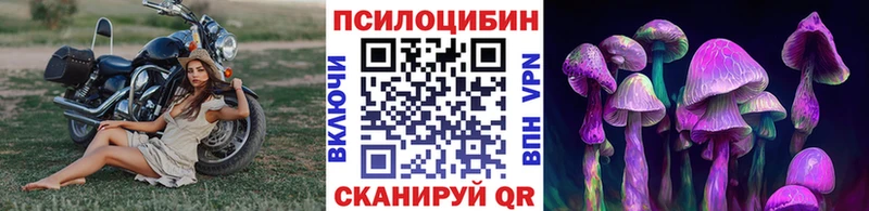 дарк нет как зайти  mega зеркало  Богданович  Псилоцибиновые грибы ЛСД 