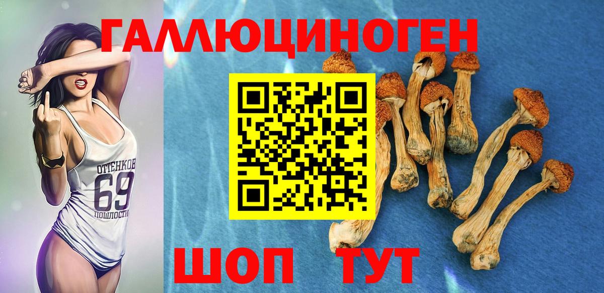 Богданович  Галлюциногенные грибы прущие грибы  Вход с VPN 