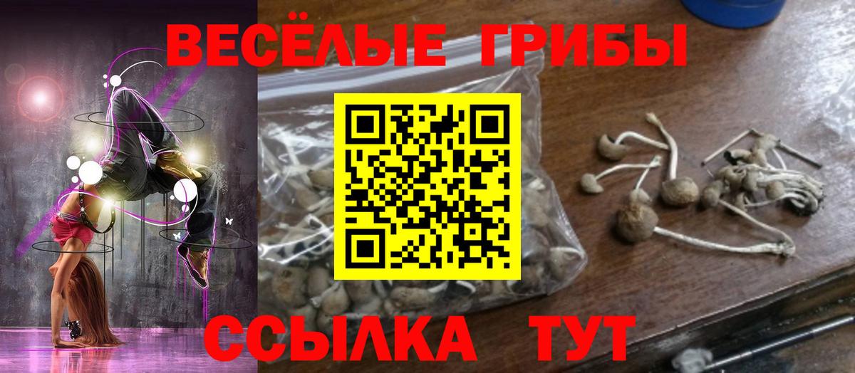 Псилоцибиновые грибы Psilocybe Богданович